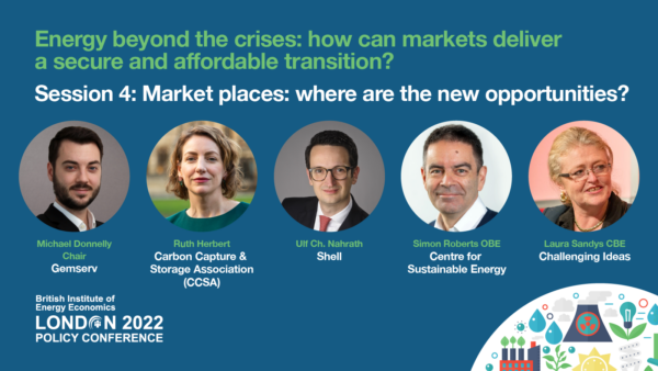 BIEE Conference Panel Session - Market Places: where are the new opportunities?